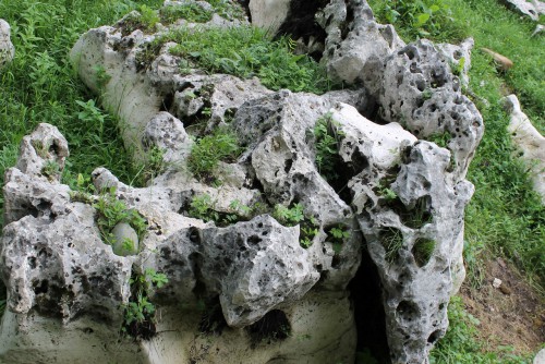 Природный камень в строительстве дорожек, парковок, облицовке домов и коттеджей - у нас можно заказать природный камень по низким ценам - как заказать, где купить без посредников, куда обратиться, быстро с доставкой под ключ - в Камень Клуб