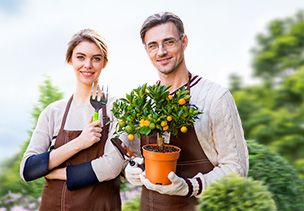 Проект «под ключ» где можно заказать по низкой цене  в Крыму