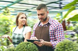 Дендроплан - верное планирование территории и решения этой задачи на уровне  в Крыму