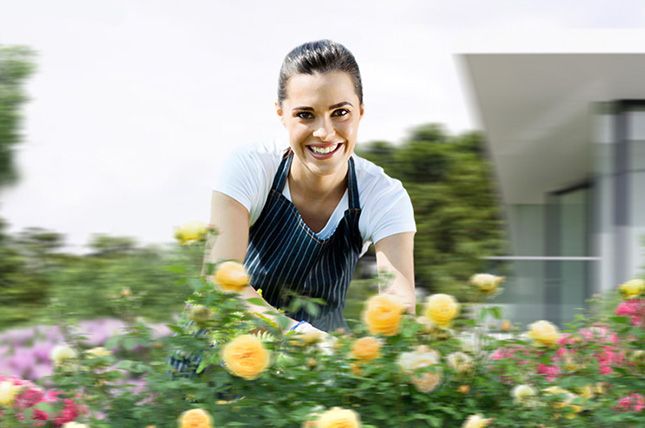 Как вылечить растения в саду: болезни роз и других цветов - у нас можно заказать природный камень по низким ценам - как заказать, где купить без посредников, куда обратиться, быстро с доставкой под ключ - в Камень Клуб