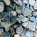 Kamenclub.ru: Щебень галтованный зеленый (змеевик) фр. 50-100 мм.  купить в Крыму галтовка мраморная зеленый, салатовый мрамор 12 500 руб/т   фото КАМЕНЬ КЛУБ