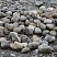 Kamenclub.ru: Речной валун (Ассорти) фр.100-300 мм.  купить в Крыму галечник серый, темно-серый, светло-серый речная галька крупных размеров 4200 руб/т   фото КАМЕНЬ КЛУБ