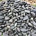 Kamenclub.ru: Темно-серый валунчик фр.100-300 мм.  купить в Крыму крупный природный камень серый, темно-серый, светло-серый речная галька большого размера окатанная 4500 руб/т   фото КАМЕНЬ КЛУБ