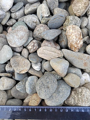 Kamenclub.ru: Галька речная окат (пестрая) фр. 20-40 мм. купить  в Крыму галька речная пестрая, серая, серые оттенки галька речная окатанная округлая 5000 руб/т   фото КАМЕНЬ КЛУБ