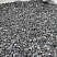 Kamenclub.ru: Щебень крошка черный (мрамор) фр. 10-20 мм.  купить в Крыму мрамор черный с белыми прожилками, черный, белый каменная ландшафтная декоративная крошка щебня 11000 руб/т   фото КАМЕНЬ КЛУБ