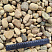 Kamenclub.ru: Галька речная окат рыжая фр. 20-40 мм. купить  в Крыму галька речная окатанная рыжая желтая серая округлая речная галька 5000 руб/т   фото КАМЕНЬ КЛУБ
