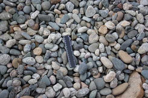 Kamenclub.ru: Галька речная окат (пестрая) фр. 20-40 мм. купить  в Крыму галька речная пестрая, серая, серые оттенки галька речная окатанная округлая 5000 руб/т   фото КАМЕНЬ КЛУБ