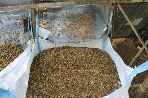 Kamenclub.ru: Галька окат (серо-желтая) фр.10-20 мм. купить  в Крыму галька серо-желтая, рыжая, серый речная окатанная округлая галька 5000 руб/т   фото КАМЕНЬ КЛУБ