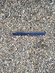 Kamenclub.ru: Галька речная окат (серая) фр.5-10 мм купить  в Крыму галька речная серая, серый, темно-серый, светло-серый, коричневый речная окатанная галька декоративная ландшатфная 5000 руб/т   фото КАМЕНЬ КЛУБ