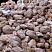 Kamenclub.ru: Розовый валунчик фр.100-300 мм.  купить в Крыму крупный природный камень розовый, серый молочный красный речной галечник природный 7850 руб/т   фото КАМЕНЬ КЛУБ
