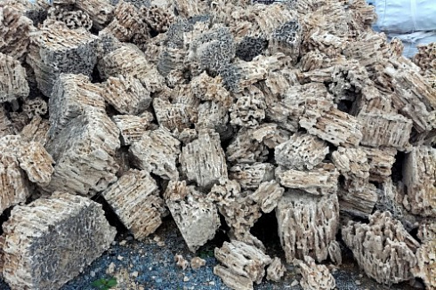 Kamenclub.ru: Крымский природный меотис фр. 100-500 мм.  купить в Крыму меотис бежевый рыжий молочный желтый ракушечник 4 500 руб/т   фото КАМЕНЬ КЛУБ