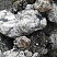 Kamenclub.ru: Черный гранит - кварцит фр. 100-500 мм.  купить в Крыму мрамор гранит черный с белыми прожилками, серый, белый валун скальный колотый 7000 руб/т   фото КАМЕНЬ КЛУБ