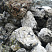 Kamenclub.ru: Черный гранит - кварцит фр. 100-500 мм.  купить в Крыму мрамор гранит черный с белыми прожилками, серый, белый валун скальный колотый 7000 руб/т   фото КАМЕНЬ КЛУБ