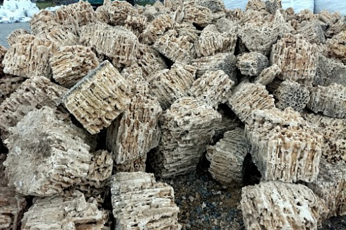 Kamenclub.ru: Крымский природный меотис фр. 100-500 мм.  купить в Крыму меотис бежевый рыжий молочный желтый ракушечник 4 500 руб/т   фото КАМЕНЬ КЛУБ