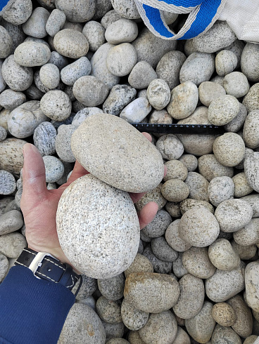 Kamenclub.ru: Галька речная окат (серо-белая) фр. 70-120 мм купить  в Крыму галька галечник бело-серая, серо-белая, серая, белая речная природная галька  8000 руб/т   фото КАМЕНЬ КЛУБ