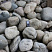 Kamenclub.ru: Темно-серый валунчик фр.100-300 мм.  купить в Крыму крупный природный камень серый, темно-серый, светло-серый речная галька большого размера окатанная 4500 руб/т   фото КАМЕНЬ КЛУБ