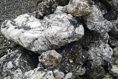 Kamenclub.ru: Черный гранит - кварцит фр. 500-1000 мм.  купить в Крыму гранит кварцит черный серый белый скальный колотый валун 9750 руб/т   фото КАМЕНЬ КЛУБ