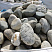 Kamenclub.ru: Речной валун (Ассорти) фр.100-300 мм.  купить в Крыму галечник серый, темно-серый, светло-серый речная галька крупных размеров 4200 руб/т   фото КАМЕНЬ КЛУБ