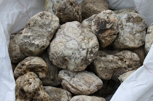 Kamenclub.ru: Кварцевый валунчик фр.100-300 мм.  купить в Крыму кварц белый, бежевый молочный рыжий крупный природный камень галечник 7850 руб/т   фото КАМЕНЬ КЛУБ