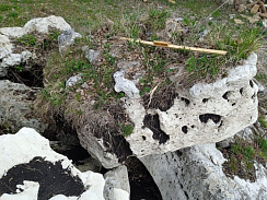 Kamenclub.ru: Выветренный известняк (степной) фр. 500-1500 мм.  купить в Крыму    10000 руб/т   фото КАМЕНЬ КЛУБ