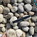 Kamenclub.ru: Галька речная окат (серо-белая) фр. 70-120 мм купить  в Крыму галька галечник бело-серая, серо-белая, серая, белая речная природная галька  8000 руб/т   фото КАМЕНЬ КЛУБ