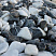 Kamenclub.ru: Мраморная крошка (щебень галтованный микс:: белый-черный) фр.20-40 мм  купить в Крыму мрамор белый, черный мраморный галтованный щебень 15500 руб/т   фото КАМЕНЬ КЛУБ