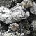 Kamenclub.ru: Черный гранит - кварцит фр. 100-500 мм.  купить в Крыму мрамор гранит черный с белыми прожилками, серый, белый валун скальный колотый 7000 руб/т   фото КАМЕНЬ КЛУБ