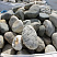 Kamenclub.ru: Речной валун (Ассорти) фр.100-300 мм.  купить в Крыму галечник серый, темно-серый, светло-серый речная галька крупных размеров 4200 руб/т   фото КАМЕНЬ КЛУБ