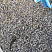 Kamenclub.ru: Галька речная окат (серая) фр.3-5 мм купить  в Крыму галька речная серая бежевый темно-серый окатанный речной камень округлый 9500 руб/т   фото КАМЕНЬ КЛУБ