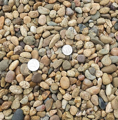 Kamenclub.ru: Галька окат (серо-желтая) фр.10-20 мм. купить  в Крыму галька серо-желтая, рыжая, серый речная окатанная округлая галька 5000 руб/т   фото КАМЕНЬ КЛУБ