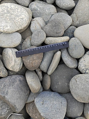 Kamenclub.ru: Галька речная плоская (ассорти) фр. 70-150 мм. купить в Крыму галька галечник серый белый темно-серый синий светло-серый плоская природная галька  9000 руб/т   фото КАМЕНЬ КЛУБ