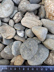 Kamenclub.ru: Галька речная окат (серая) фр.40-60 мм купить  в Крыму галька речная серый бежевый рыжий коричневый округлый речной камень 5000 руб/т   фото КАМЕНЬ КЛУБ