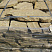 Kamenclub.ru: Песчаник пластушка желтый с рисунком (3 см)  купить в Крыму песчаник желтый с рисунком, рыжий, желтый песчаник пластушка ландшафтная рваная 8 500 руб/м3   фото КАМЕНЬ КЛУБ