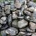 Kamenclub.ru: Валунчик Паутинник фр.100-300 мм  купить в Крыму крупный природный камень галечник темно-серый с прожилками белый черный речной валунчик 5000 руб/т   фото КАМЕНЬ КЛУБ