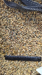 Kamenclub.ru: Галька окат (серо-желтая) фр.5-10 мм. купить  в Крыму галька речная рыжий, желтый, рыжий, серо-желтый речная окатанная галька декоративная 5000 руб/т   фото КАМЕНЬ КЛУБ