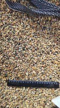 Kamenclub.ru: Галька окат (серо-желтая) фр.5-10 мм. купить  в Крыму галька речная рыжий, желтый, рыжий, серо-желтый речная окатанная галька декоративная 5000 руб/т   фото КАМЕНЬ КЛУБ