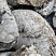 Kamenclub.ru: Кварцевый валунчик фр.100-300 мм.  купить в Крыму кварц белый, бежевый молочный рыжий крупный природный камень галечник 7850 руб/т   фото КАМЕНЬ КЛУБ