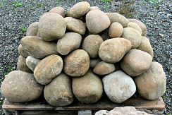 Kamenclub.ru: Песчаник ядра, фр. 100-300 мм  купить в Крыму песчаник бежевый серый рыжий речная галька 5 000 руб/т   фото КАМЕНЬ КЛУБ