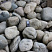 Kamenclub.ru: Речной валун (Ассорти) фр.100-300 мм.  купить в Крыму галечник серый, темно-серый, светло-серый речная галька крупных размеров 4200 руб/т   фото КАМЕНЬ КЛУБ