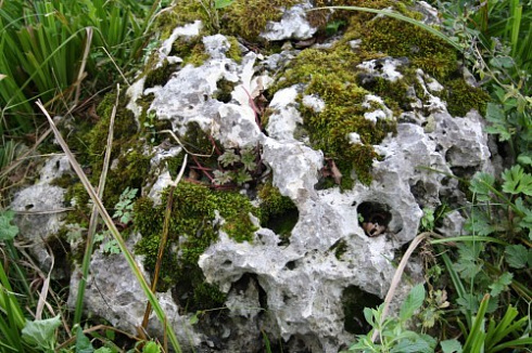 Kamenclub.ru: Выветренный известняк со мхом фр. 100-500 мм.  купить в Крыму известняк серый белый зеленый валун известняковый крупный 10000 руб/т   фото КАМЕНЬ КЛУБ