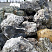 Kamenclub.ru: Черный гранит - кварцит фр. 100-500 мм.  купить в Крыму мрамор гранит черный с белыми прожилками, серый, белый валун скальный колотый 7000 руб/т   фото КАМЕНЬ КЛУБ
