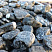 Kamenclub.ru: Щебень галтованный черный (мрамор) фр.20-40 мм.  купить в Крыму мрамор черный с белыми прожилками мрамор окатанный округлый 15000 руб/т   фото КАМЕНЬ КЛУБ