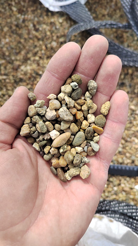 Kamenclub.ru: Галька окат (серо-желтая) фр.5-10 мм. купить  в Крыму галька речная рыжий, желтый, рыжий, серо-желтый речная окатанная галька декоративная 5000 руб/т   фото КАМЕНЬ КЛУБ