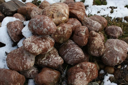 Kamenclub.ru: Розовый валунчик фр.100-300 мм.  купить в Крыму крупный природный камень розовый, серый молочный красный речной галечник природный 7850 руб/т   фото КАМЕНЬ КЛУБ